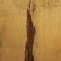 Toscano - kg 2 - h 40cm